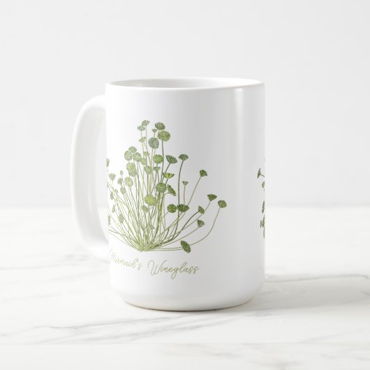 Acetabularia Mug d'algues (Devant gauche)