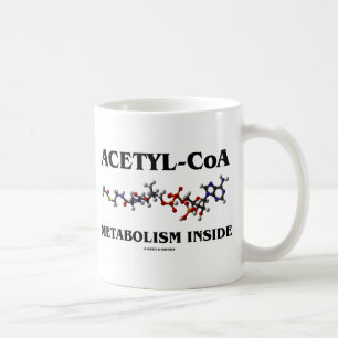 Acetyl-CoA Metabolisme Binnen Chemisch Molecuul Koffiemok