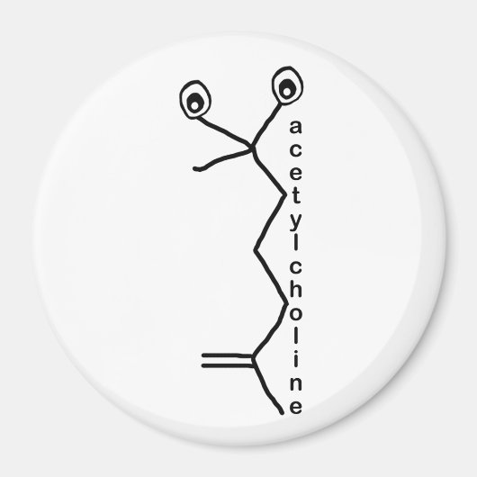 acetylcholine magnet magneet (Voorkant)