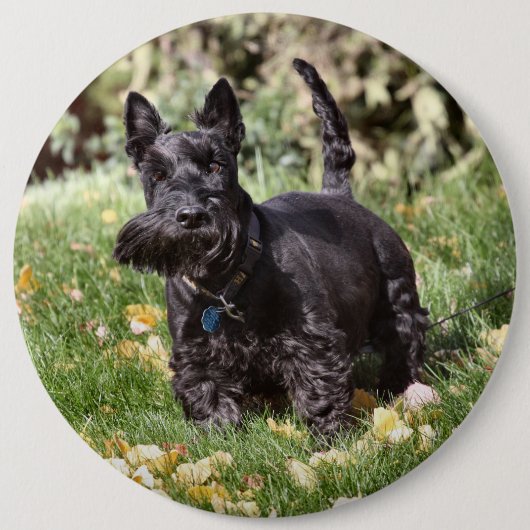 Ach Ronde Button 6,0 Cm (Voorkant)