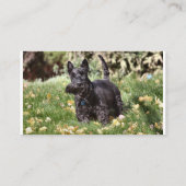 Ach Visitekaartje (Achterkant)