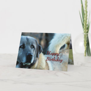 Achai Birthday Kaart- aanpassen van elke gelegenhe Kaart