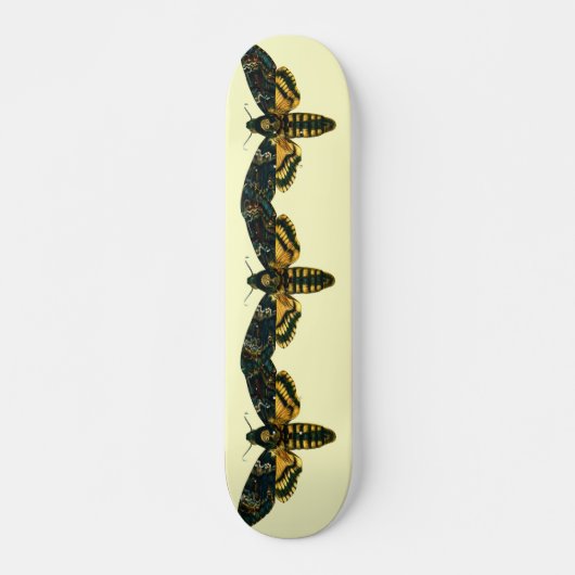 Acherontia atropos skateboard (Voorkant)