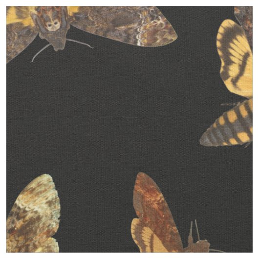 Acherontia Lachesis - Death's-head Hawkmol Stof (Close Up)