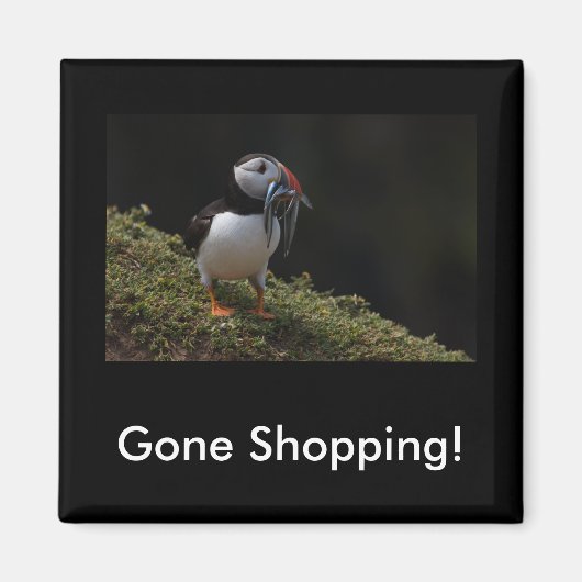 Acheter Aimant Fisher Puffin (Devant)