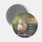 'acheter la graine d'oiseau' Magnet (Recto/Verso)