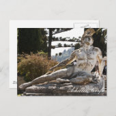 Achilles Briefkaart (Voorkant / Achterkant)