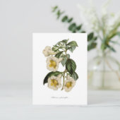 Achimenes gloxiniaeflora briefkaart (Staand voorkant)