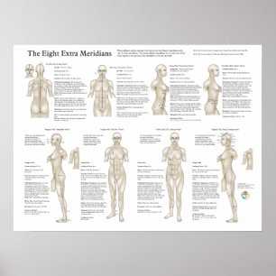 Acht buitengewone acupunctie Meridians Poster