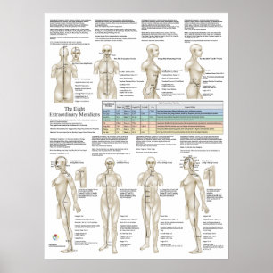 Acht extra acupunctie buitengewone mierikans poster