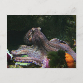 Acht manieren om te graven briefkaart