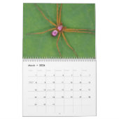 Achtbenige wonderen - Spiders Calendar Kalender (Mar 2026)