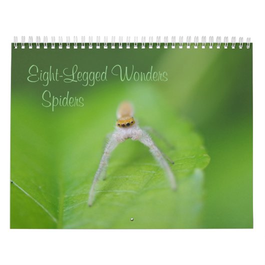 Achtbenige wonderen - Spiders Calendar Kalender (Hoes)