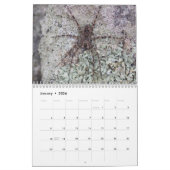 Achtbenige wonderen - Spiders Calendar Kalender (Jan 2026)