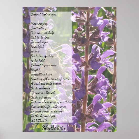 achter de lupine ogen poster (Voorkant)