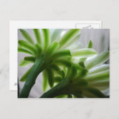 Achter de scènes briefkaart (Voorkant / Achterkant)