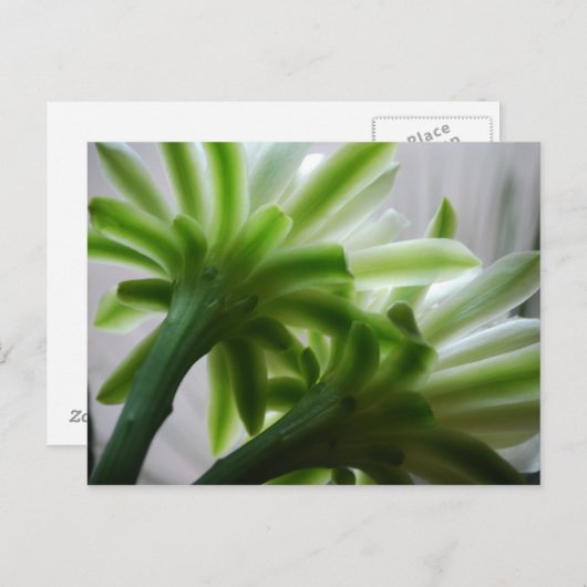 Achter de scènes briefkaart (Voorkant / Achterkant)