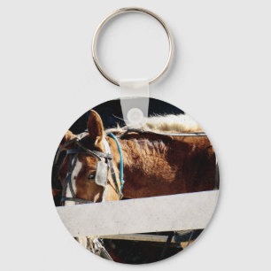 Achter de schutting Amish paard Sleutelhanger