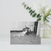 achter gesleept briefkaart (Staand voorkant)