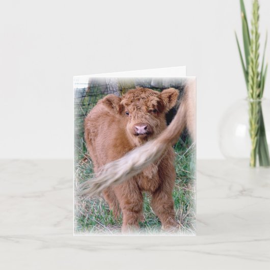 Achter Mama's staart Kaart (Voorkant)