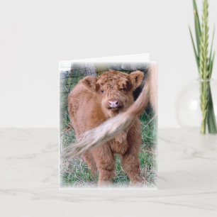 achter mama's staart kaart