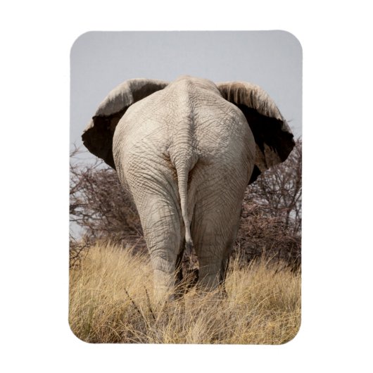 Achteraanzicht van olifant magneet (Verticaal)