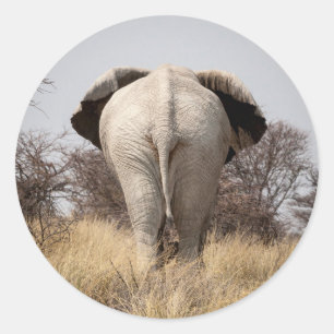 Achteraanzicht van olifant ronde sticker
