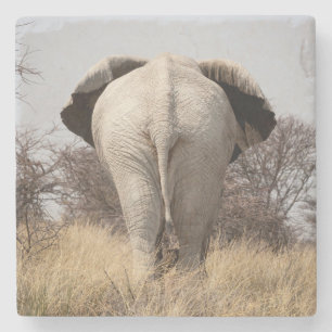 Achteraanzicht van olifant stenen onderzetter