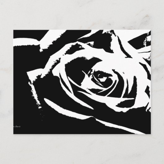 Achtergestelde Roos Art Briefkaart (Voorkant)