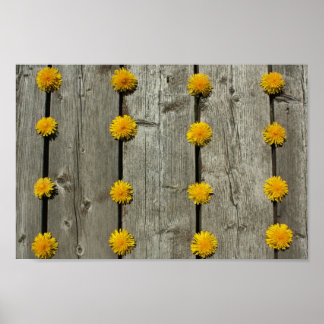 Achtergrond andelions poster