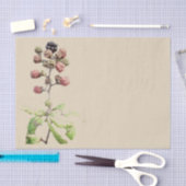 Achtergrond Blackberry Tissuepapier (Craft)