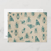 ACHTERGROND Bug Insect Patroonpatroon Briefkaart (Voorkant / Achterkant)