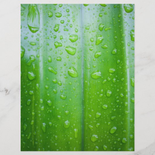 Achtergrond groene bladeren flyer (Voorkant)