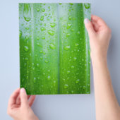 Achtergrond groene bladeren flyer (Hand)