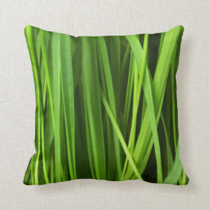 Achtergrond Groene gras Kussen