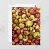 Achtergrond najaar briefkaart (Voorkant / Achterkant)