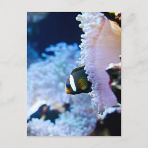 Achtergrond onderwater briefkaart