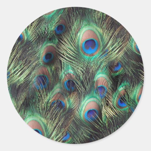 Achtergrond Peacock-doether Ronde Sticker (Voorkant)