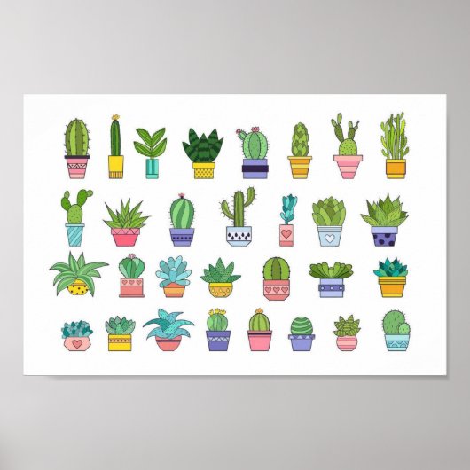 Achtergrond planten Cactus Poster (Voorkant)