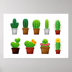 Achtergrond planten Cactus Poster
