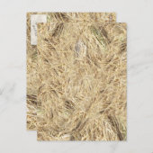 Achtergrond riem briefkaart (Voorkant / Achterkant)