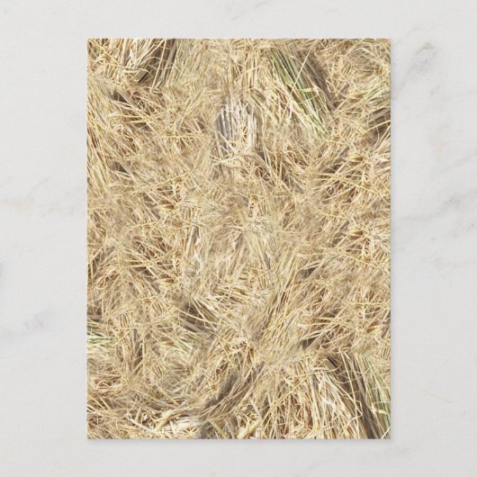 Achtergrond riem briefkaart (Voorkant)