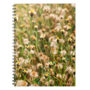 achtergrond van de natuur met de grasbloem, bea notitieboek