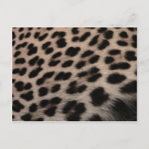Achtergrond van leopard-afdrukken briefkaart