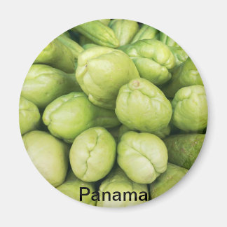 Achtergrond van organische choko Sechium schema Magneet