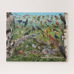 Achtergrond vogels uit Connecticut Legpuzzel