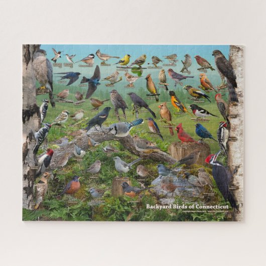 Achtergrond vogels uit Connecticut Legpuzzel (Horizontaal)