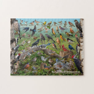 Achtergrond vogels uit Connecticut Legpuzzel