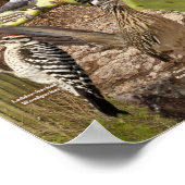 Achtergrond vogels van het Arizona ID-Poster Poster (Hoek)