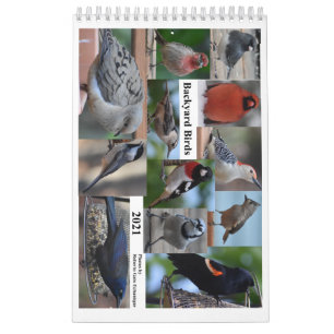 Achtergrond vogels van het middelste deel van de A Kalender